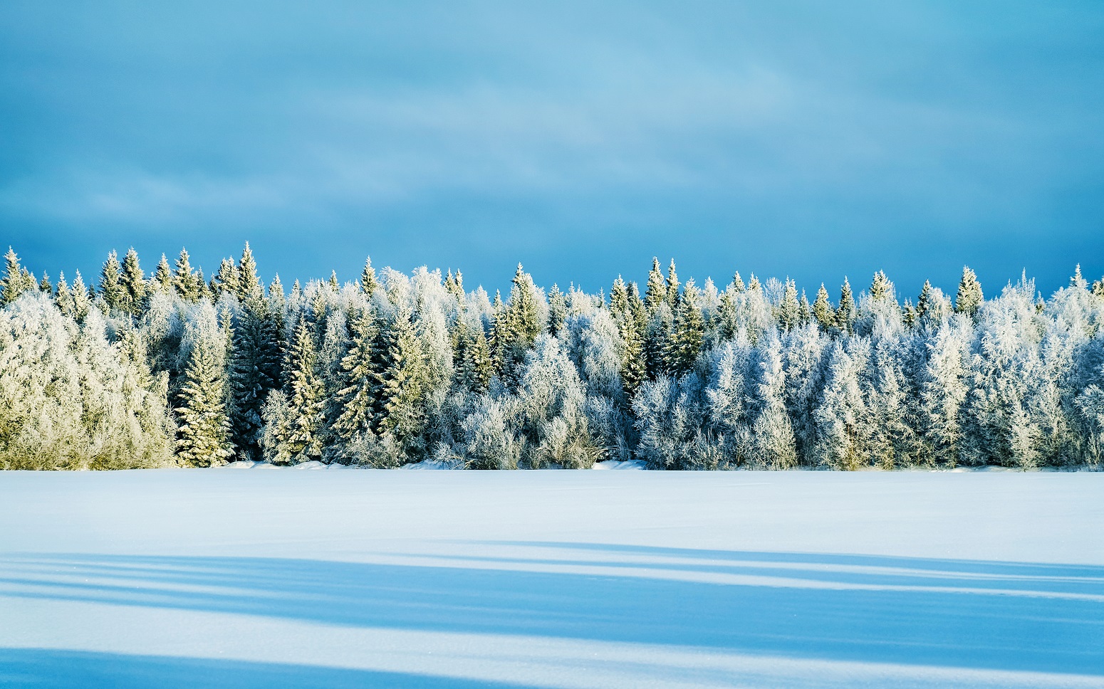 paisajes viajes a finlandia familias